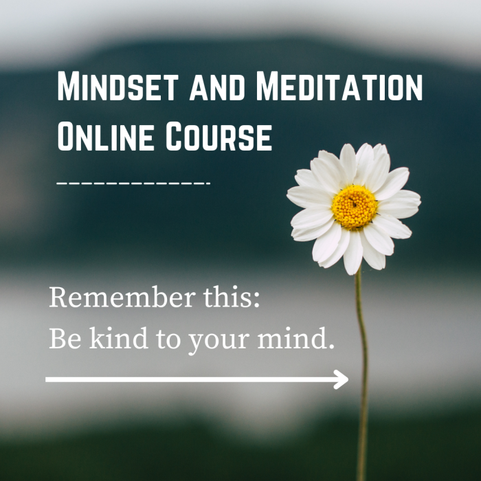 Sufi Healing's Mindset and Meditation Online Course